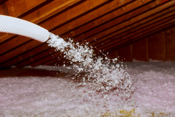 Best Commercial Insulation in Maywood, CA